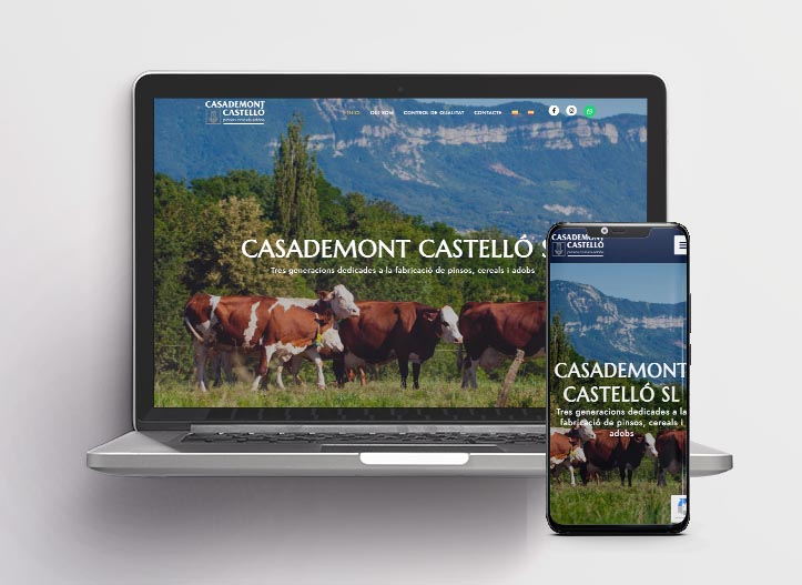 Casademont Castelló